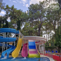 фото из отзыва ID 2624924