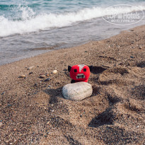 фото из отзыва ID 2624924