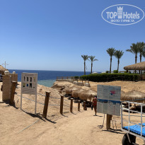 фото из отзыва ID 2625571