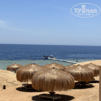 фото из отзыва ID 2625571