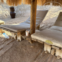 фото из отзыва ID 2625571