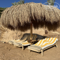 фото из отзыва ID 2625571