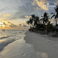 фото из отзыва ID 2625984