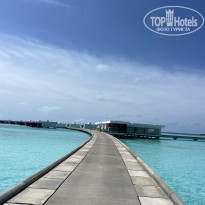 фото из отзыва ID 2625984