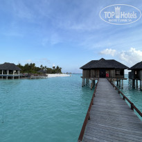 фото из отзыва ID 2625985