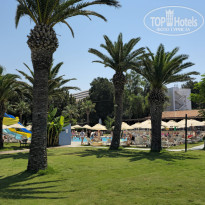 фото из отзыва ID 2626422