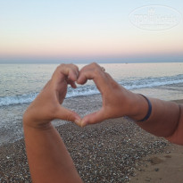 фото из отзыва ID 2626427