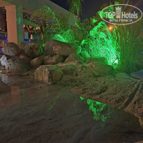 фото из отзыва ID 2626427