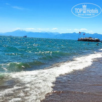 фото из отзыва ID 2626467