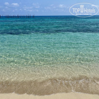 фото из отзыва ID 2626544