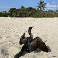 фото из отзыва ID 2626544