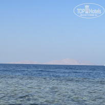 фото из отзыва ID 2626619