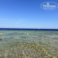 фото из отзыва ID 2626619