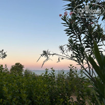 фото из отзыва ID 2627007