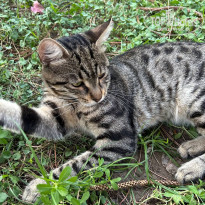 фото из отзыва ID 2627007