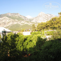 фото из отзыва ID 2627303