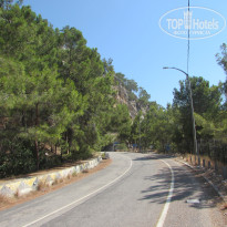 фото из отзыва ID 2627303