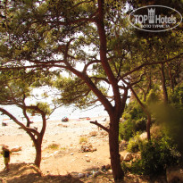 фото из отзыва ID 2627303