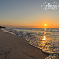 фото из отзыва ID 2627313