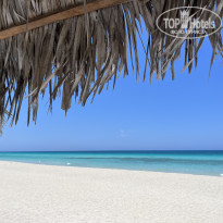 фото из отзыва ID 2627313