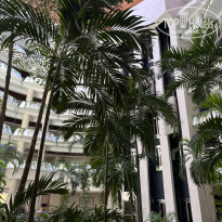 фото из отзыва ID 2627313