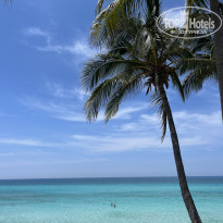 фото из отзыва ID 2627313