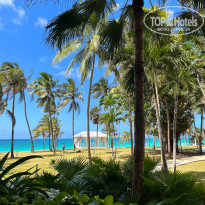 фото из отзыва ID 2627313