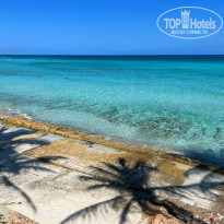 фото из отзыва ID 2627313