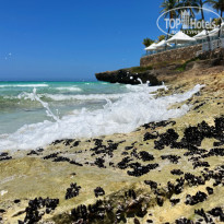 фото из отзыва ID 2627313