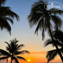 фото из отзыва ID 2627313