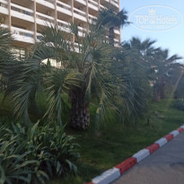 фото из отзыва ID 2627434