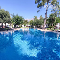 фото из отзыва ID 2627603