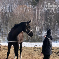 фото из отзыва ID 2627689