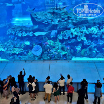 фото из отзыва ID 2627758