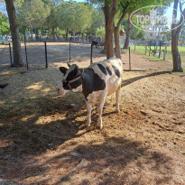 фото из отзыва ID 2627802