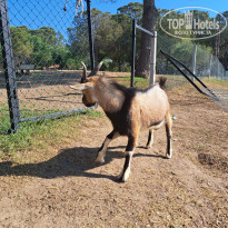 фото из отзыва ID 2627802