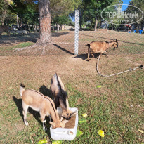 фото из отзыва ID 2627802