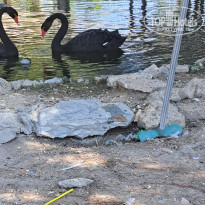 фото из отзыва ID 2627802