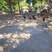 фото из отзыва ID 2627802