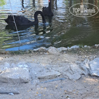 фото из отзыва ID 2627802