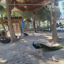 фото из отзыва ID 2627802