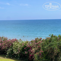 фото из отзыва ID 2627904