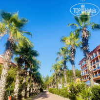 фото из отзыва ID 2627904