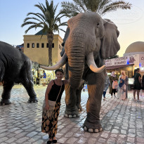 фото из отзыва ID 2626890