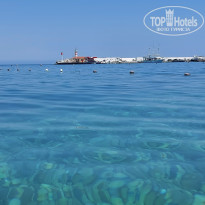 фото из отзыва ID 2628037