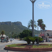 фото из отзыва ID 2628037