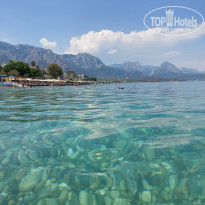 фото из отзыва ID 2628037