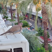 фото из отзыва ID 2628037