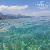 фото из отзыва ID 2628037