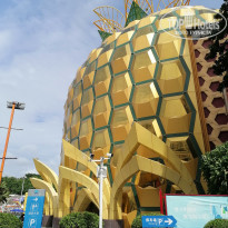 фото из отзыва ID 2628222